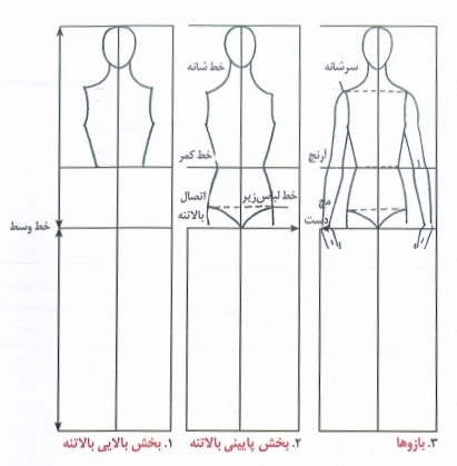 فرمول های اندام