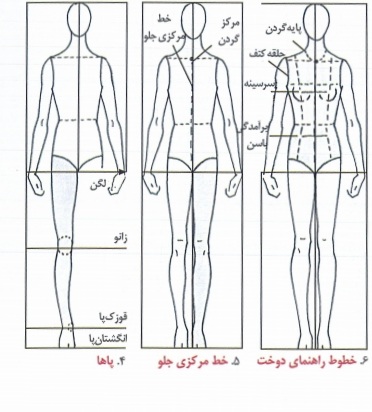 فرمول های اندام