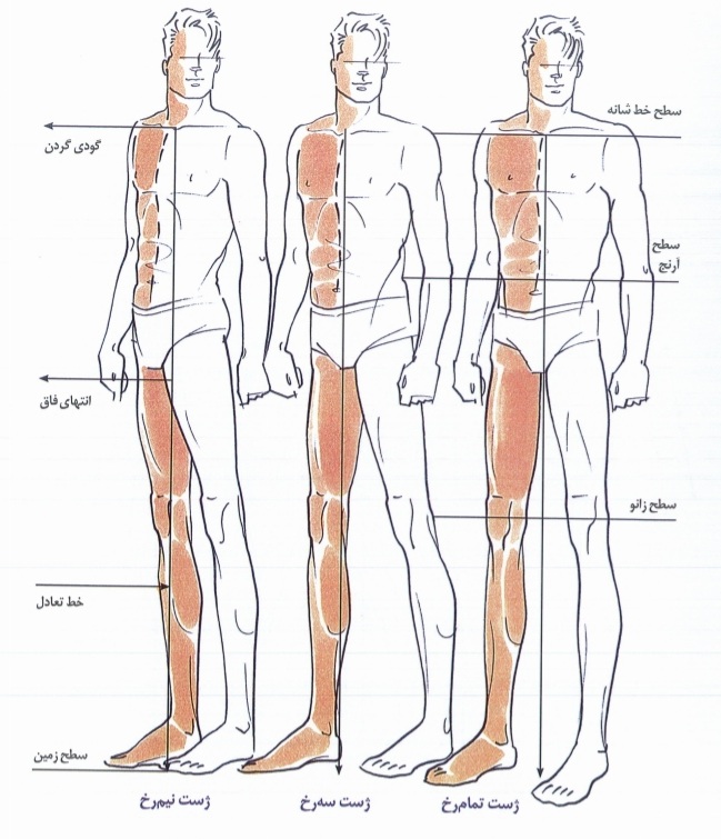 جلسه سی و پنجم طراحی (لباس مردانه) 3 طراحی اندام
