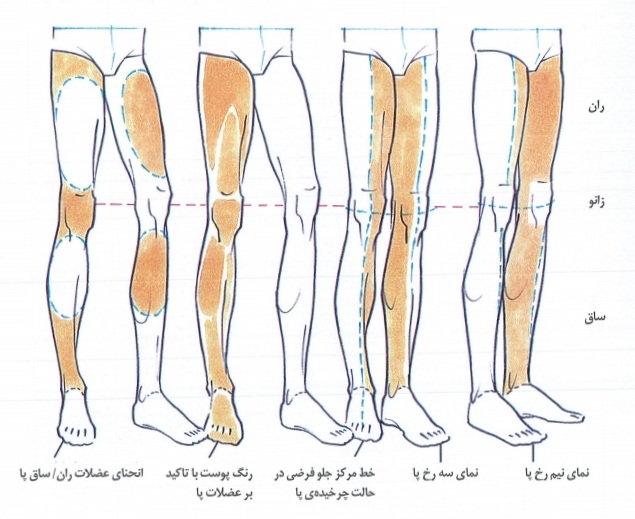 نمای پا