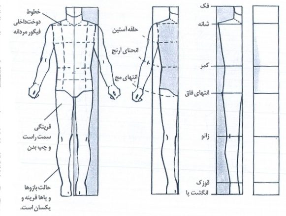 الگوی گسترده مردانه